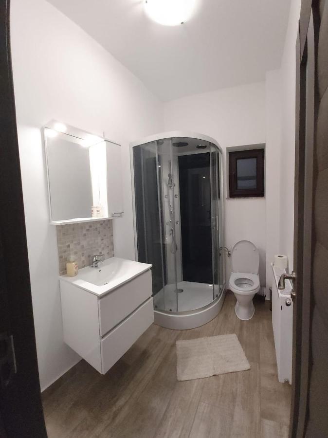 Apartament Mario Διαμέρισμα Rădăuţi Εξωτερικό φωτογραφία